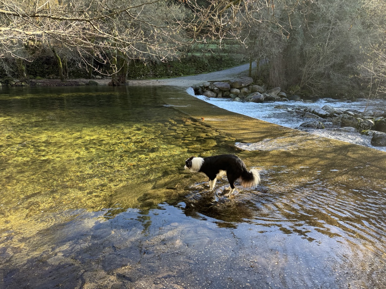 River swimming spot
