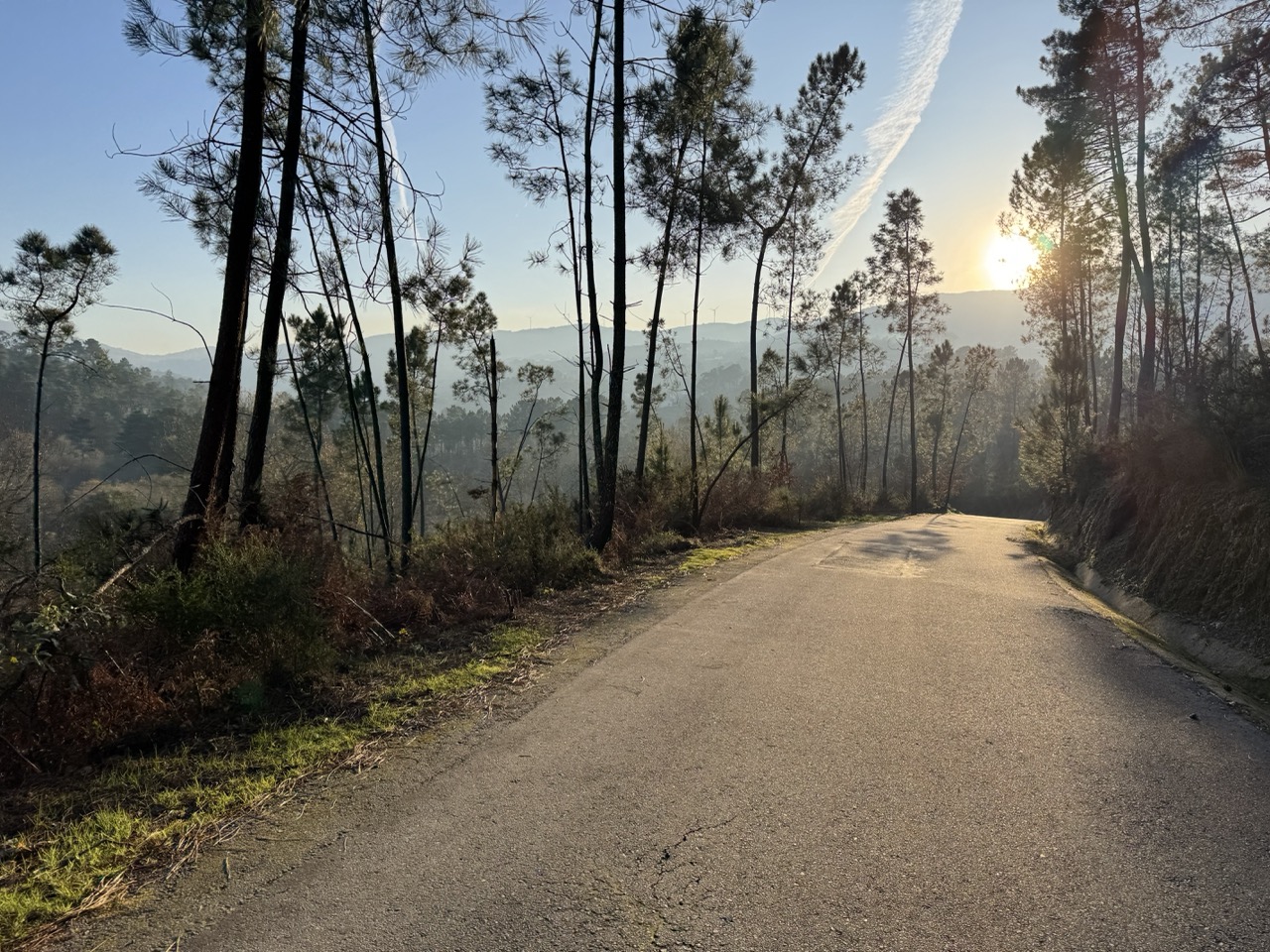 Misty road through Northern Portugal